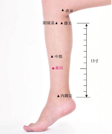 蠡溝的準確位置圖及功效視頻位位置圖
