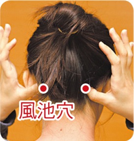 風池穴位位置圖