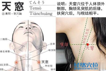天窗穴位位置圖