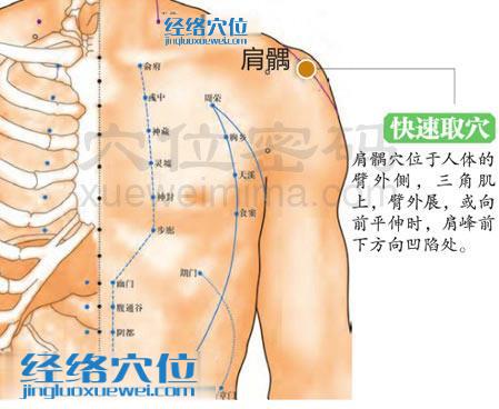 肩髃穴的準(zhǔn)確位置圖
