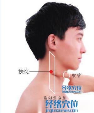 高清圖解扶突穴的準(zhǔn)確位置圖
