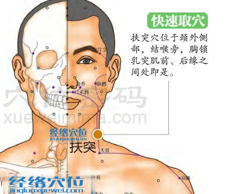 圖解扶突穴的準(zhǔn)確位置