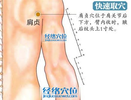 肩貞穴的準確位置圖