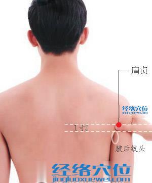 肩貞穴的準確位置圖