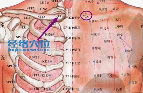 氣舍穴位位置圖