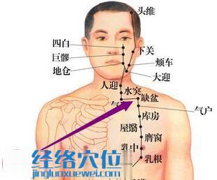 缺盆穴位圖