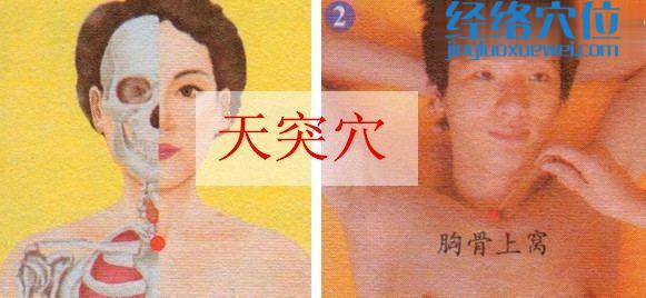 天突穴的準確位置圖