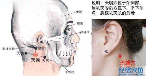 天牖穴的位置解剖分析圖
