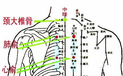肺俞穴的準確位置圖.jpg