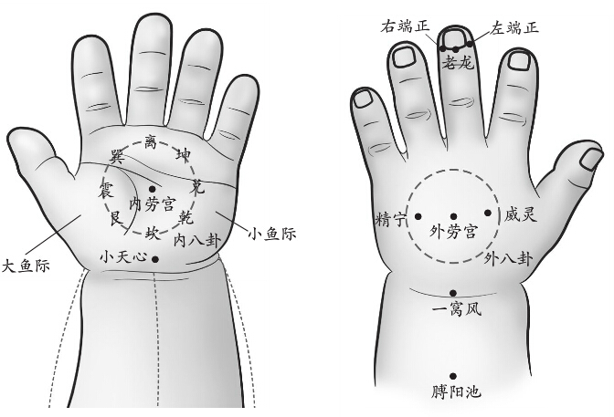 內外八卦