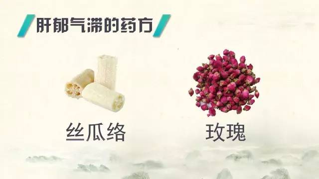 肝郁氣滯的藥方：絲瓜絡和玫瑰