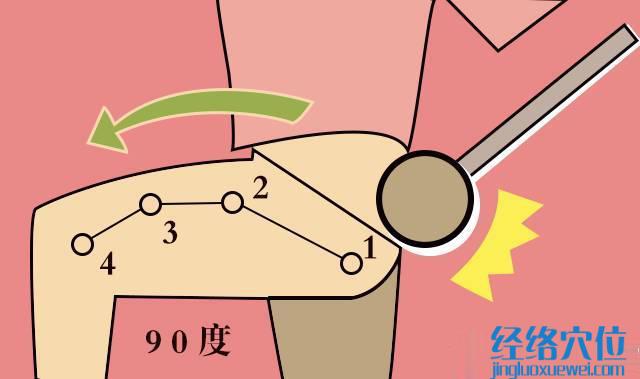 用空心拳頭，敲打膽經，敲10分鐘
