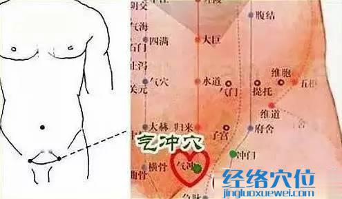 氣沖穴、沖門穴