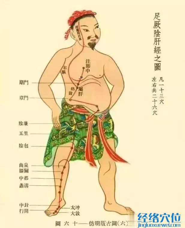 肝經