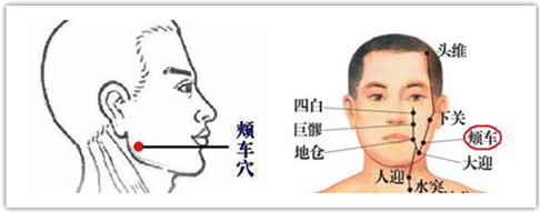 頰車穴