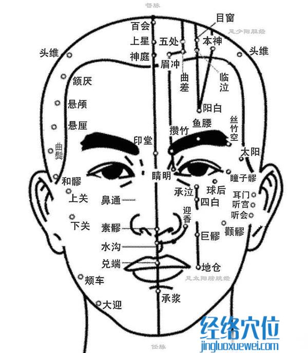 人體面部穴位圖