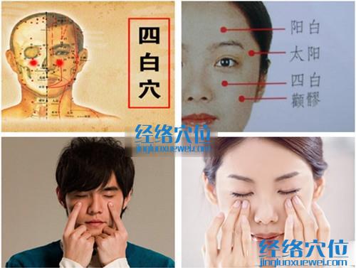 四白穴的準確位置圖（高清圖組）