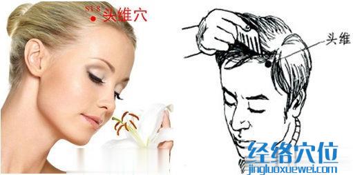 頭維穴
