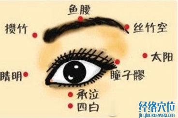 魚腰穴位位置圖