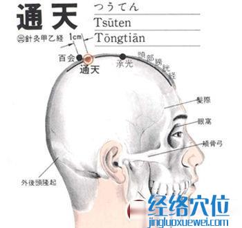 通天穴位位置圖
