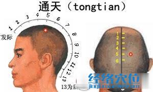 通天穴位準確位置圖