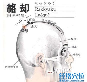 絡卻穴位位置圖