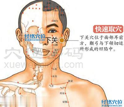 下關穴位位置圖