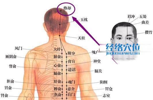 足太陽膀胱經絡卻穴位圖