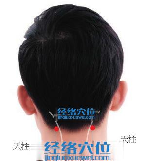 天柱穴的準確位置圖