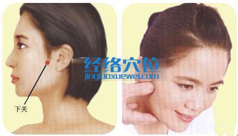 下關穴位位置圖