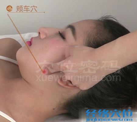 頰車穴的位置圖