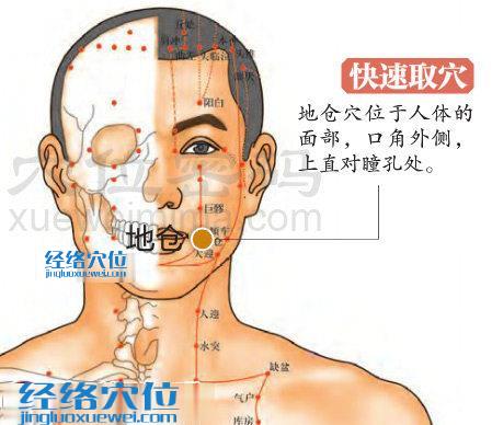 地倉(cāng)穴的準(zhǔn)確置圖