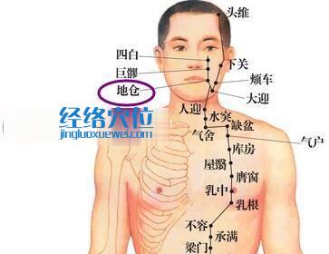 圖解地倉(cāng)穴的位置