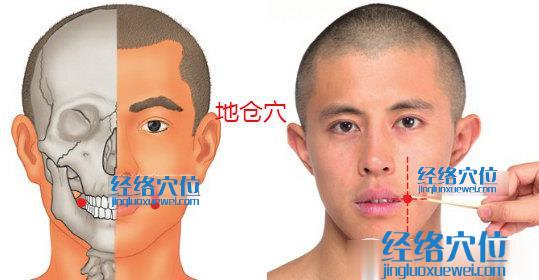 地倉(cāng)穴位位置圖