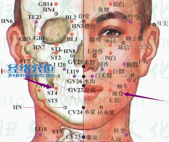 地倉(cāng)穴的準(zhǔn)確置圖