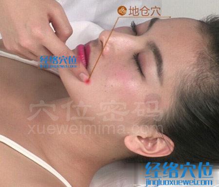 地倉(cāng)穴位位置圖
