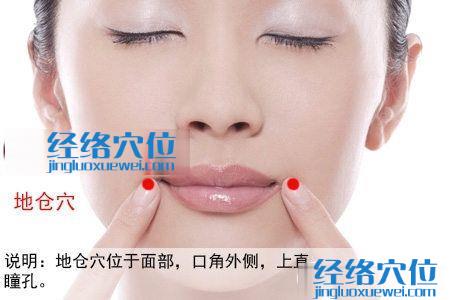 地倉(cāng)穴位位置圖