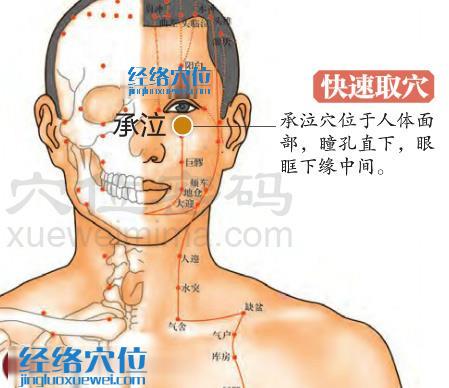 承泣穴的準確位置圖
