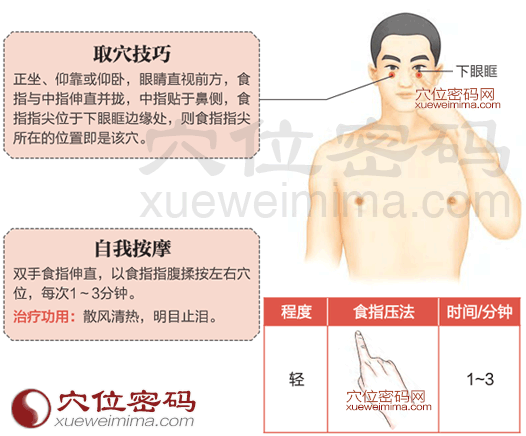 承泣穴的準確位置圖