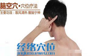 腦空穴位圖