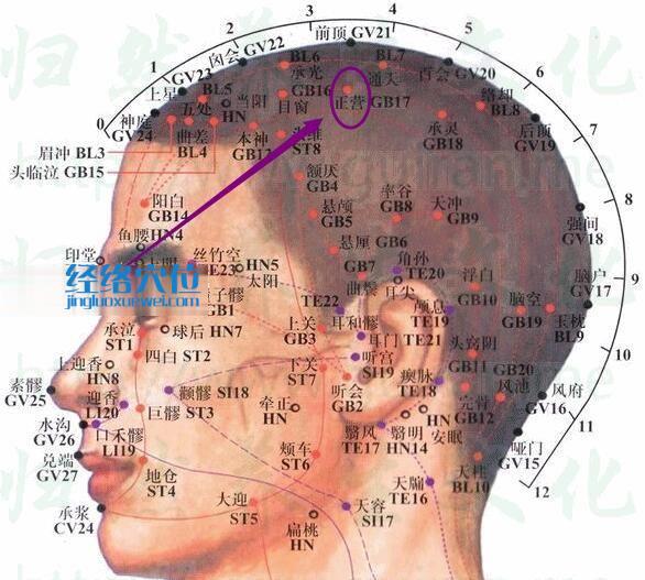 正營穴的準確位置圖