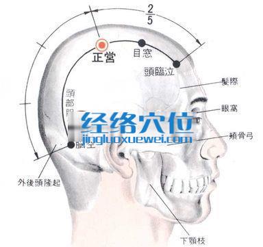 正營穴的位置解剖分析圖
