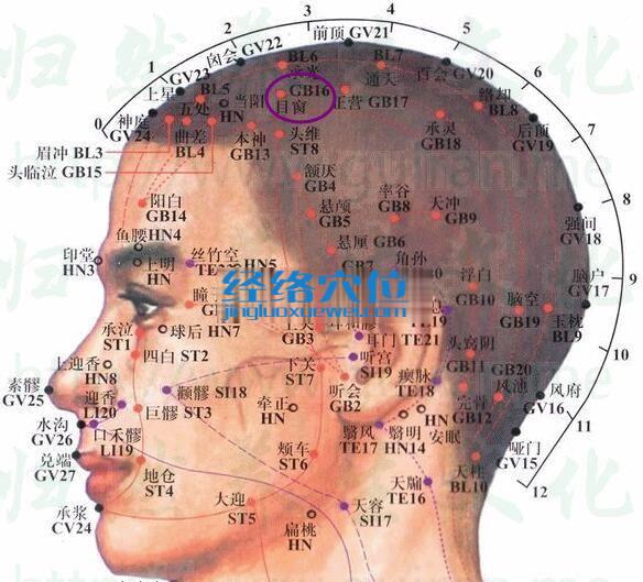 目窗穴的準確位置圖