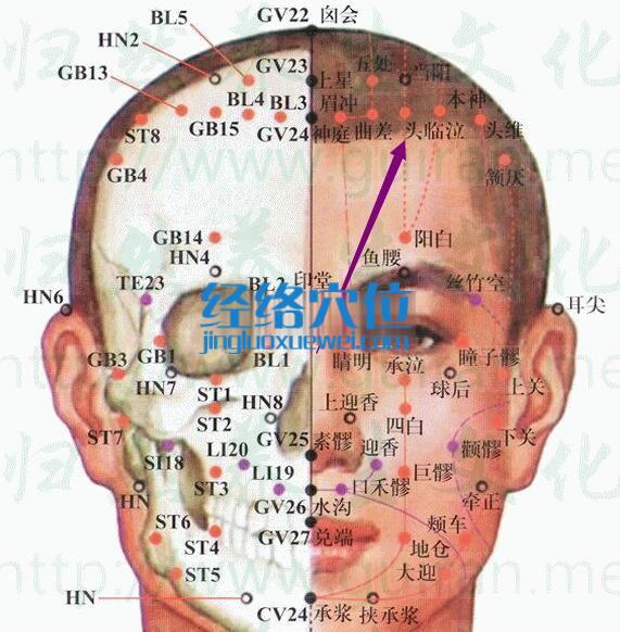 頭臨泣穴的準確位置圖