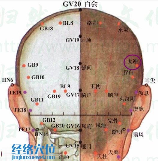 天沖穴的準確位置圖