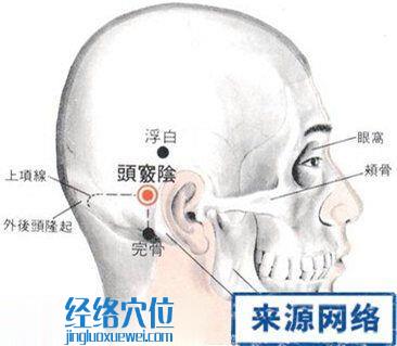 頭竅陰穴的位置解剖分析圖