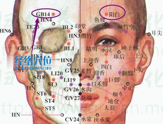 陽白穴的準確位置圖