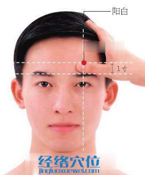 陽白穴位位置圖