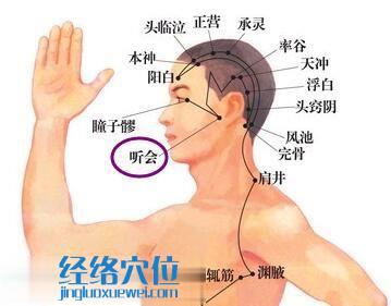聽會穴位位置圖