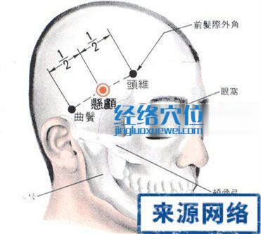 懸顱穴的位置解剖分析圖